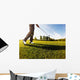 Golfer Performs Golf Shot Wall Decal