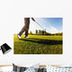 Golfer Performs Golf Shot Wall Decal