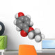 Propylparaben (E216) controversial preservative molecule. Wall Decal