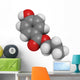Propylparaben (E216) controversial preservative molecule. Wall Decal