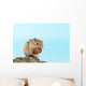 ?????????? Wall Mural