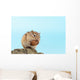 ?????????? Wall Mural