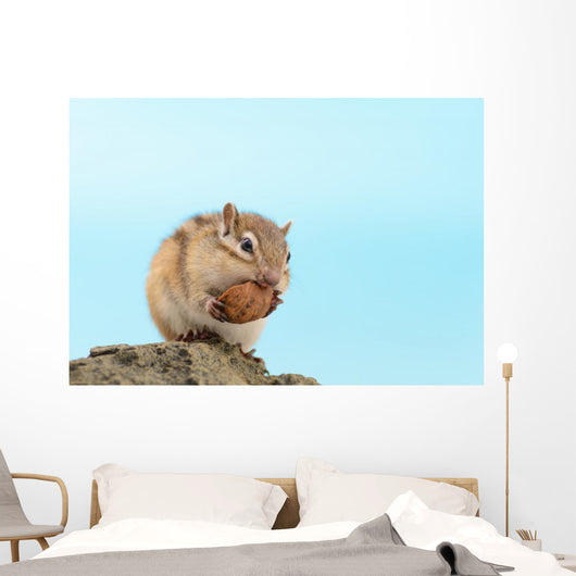?????????? Wall Mural
