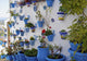 Flowerpots in an Andalusian town 