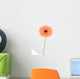 peachy african daisy Wall Mural