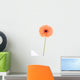 peachy african daisy Wall Mural