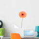 peachy african daisy Wall Mural
