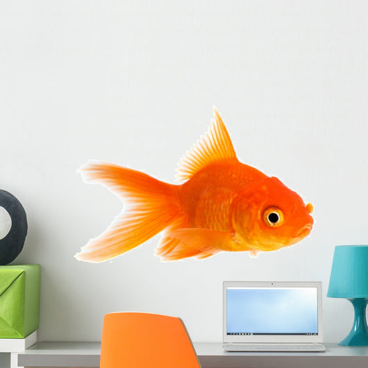 Goldfish Wall Decal