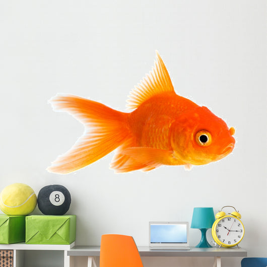 Goldfish Wall Decal