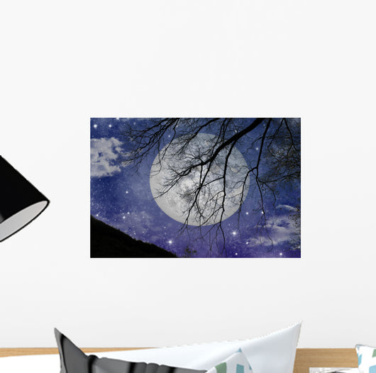 Magic Night View Wall Mural