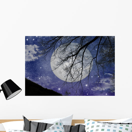 Magic Night View Wall Mural