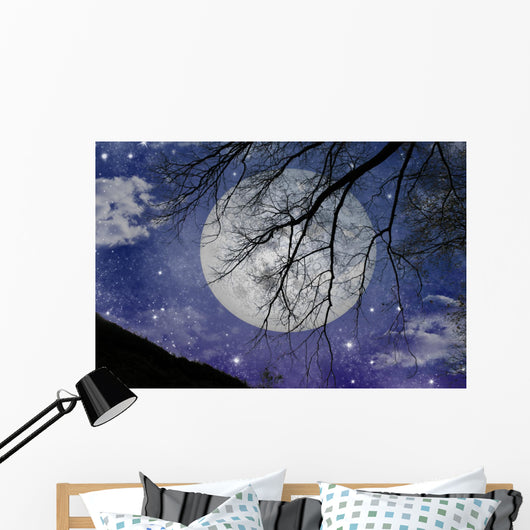 Magic Night View Wall Mural