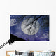 Magic Night View Wall Mural