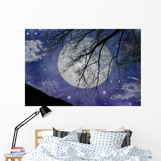 Magic Night View Wall Mural