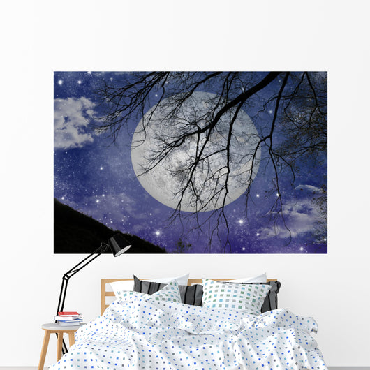 Magic Night View Wall Mural