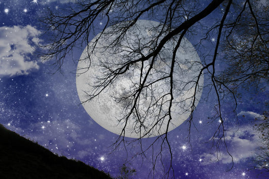 Magic Night View Wall Mural