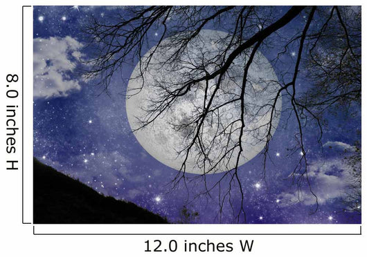 Magic Night View Wall Mural