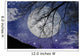 Magic Night View Wall Mural