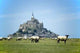 Mont Saint Michel with Wall Decal