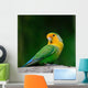 Lovebird Wall Decal