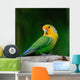 Lovebird Wall Decal