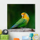 Lovebird Wall Decal