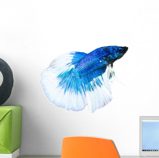 Siamese Fighting Fish Wall Decal