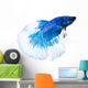 Siamese Fighting Fish Wall Decal