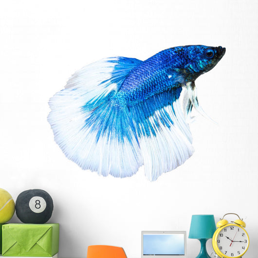 Siamese Fighting Fish Wall Decal