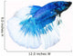 Siamese Fighting Fish Wall Decal