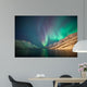 Northern lights, Ersfjordbotn, Tromso, Norway 