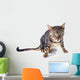 Bengal Cat Wall Decal