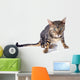 Bengal Cat Wall Decal