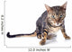 Bengal Cat Wall Decal