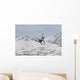 Freestyle Skiing in Les Arcs France Wall Mural