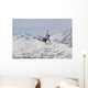 Freestyle Skiing in Les Arcs France Wall Mural
