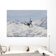 Freestyle Skiing in Les Arcs France Wall Mural