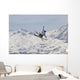 Freestyle Skiing in Les Arcs France Wall Mural