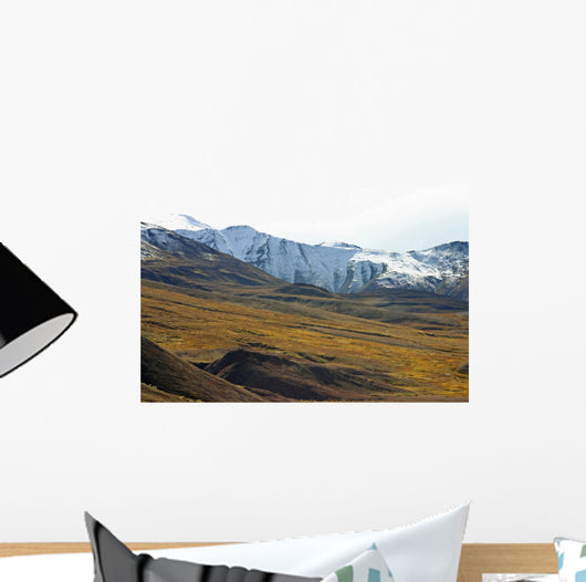 tundra with moutains Wall Mural