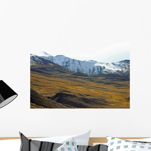 tundra with moutains Wall Mural