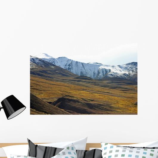 tundra with moutains Wall Mural