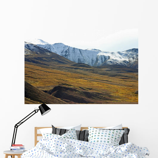 tundra with moutains Wall Mural