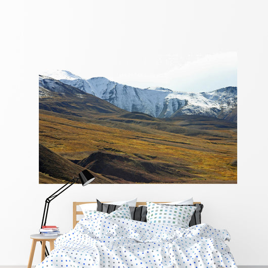 tundra with moutains Wall Mural