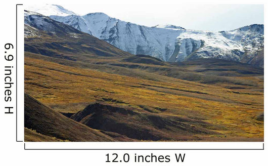 tundra with moutains Wall Mural