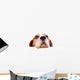 beagle on white background 