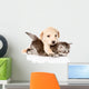 golden retriever puppy dog hugging british cat. isolated  