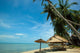 Beach and Coconut Tree Wall Decal