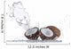Coconuts with water splash 