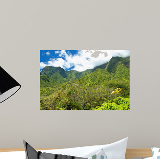 Iao Valley State Park on Maui Hawaii 