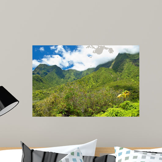 Iao Valley State Park on Maui Hawaii 